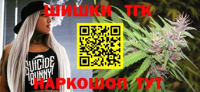 МДПВ Будённовск