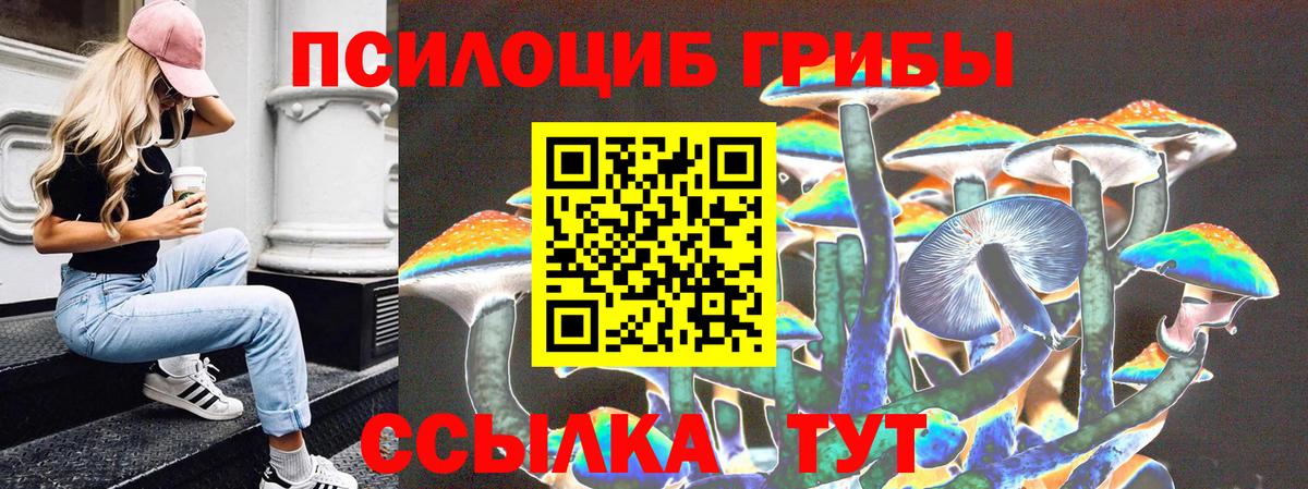 Оренбург  Псилоцибиновые грибы GOLDEN TEACHER  даркнет сайт  Вход с VPN  Галлюциногенные грибы мицелий 