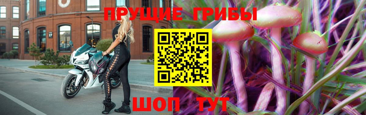 Псилоцибиновые грибы GOLDEN TEACHER Оренбург